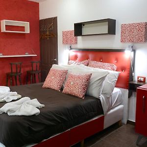 Estudio con Cama Queen